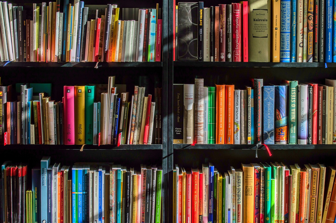 Community Library programme activity